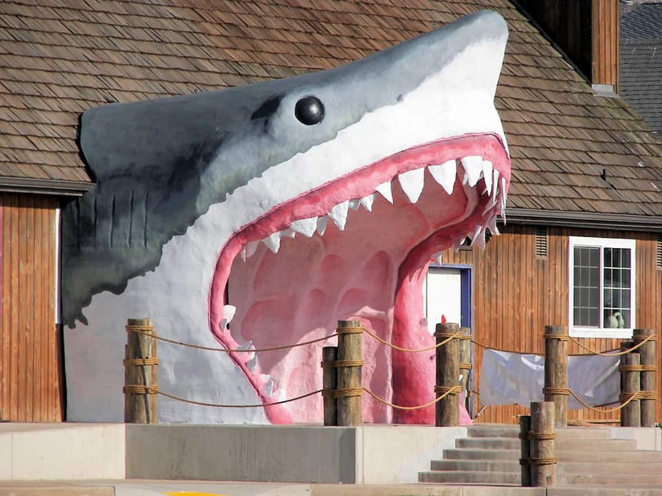 Remember your ocean excursion for a lifetime with a kitschy shark souvenir from Sharky’s in Ocean Shores. Or just indulge in some saltwater taffy.
