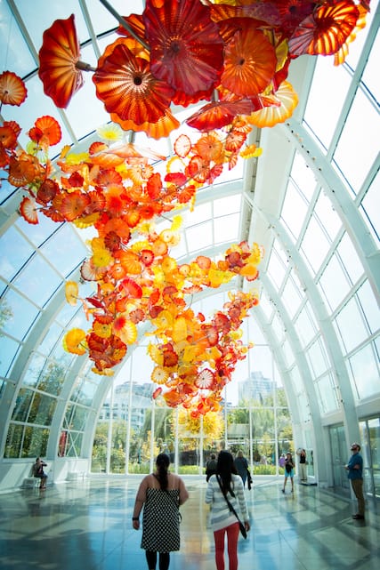 chihuly glass