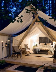 pampered wildnerness, glamping