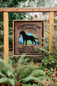 conservation canines