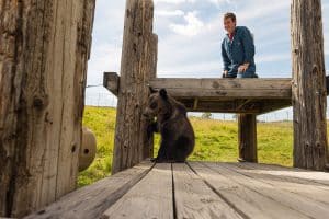 Bear Research, Education, and Conservation Center WSU
