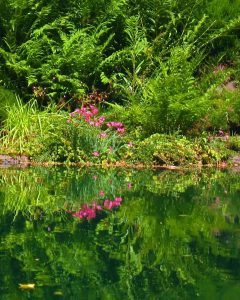 Ohme Gardens in Wenatchee