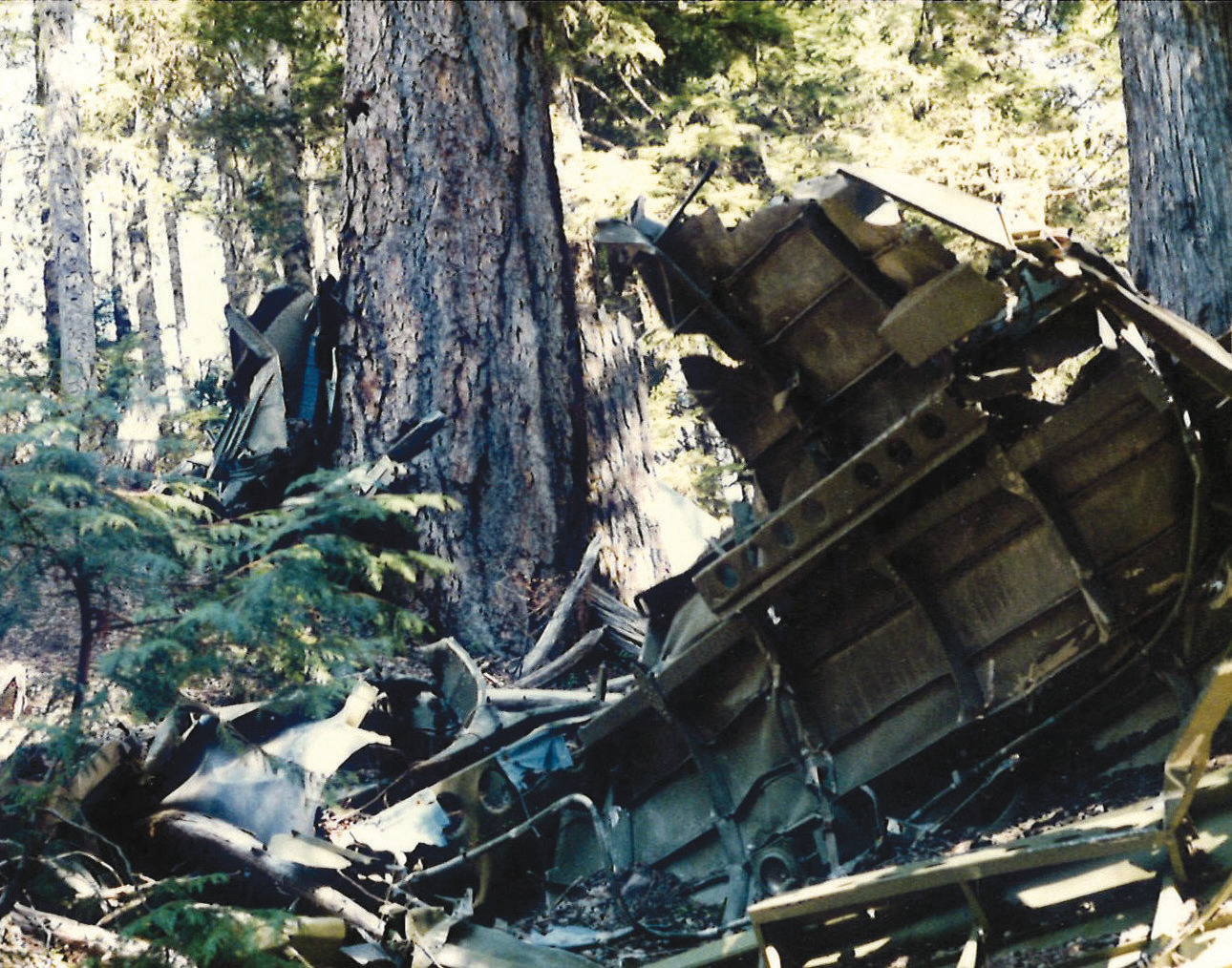 Crash site of PV-1 Ventura No. 49459 on the southeast side of Mount St. Helens.