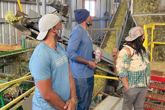 The Mosaic State Brewers Collective members gain insight into careers in the craft beer industry during hop harvesting in Yakima.
