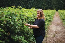 Sue Spooner and her husband, Tim, grow marionberries, strawberries, raspberries, blackberries and blueberries on their family-owned Olympia farm, Spooner Berry Farms.
