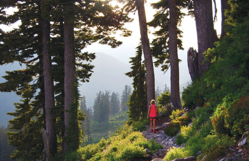 Mt. Baker offers heart-pounding hikes.