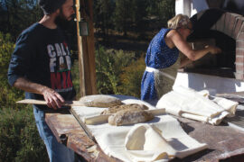 Summer workshops for farming, cooking, and bread-making at Quillisascut Farms School of the Domestic Arts in Rice, Washington