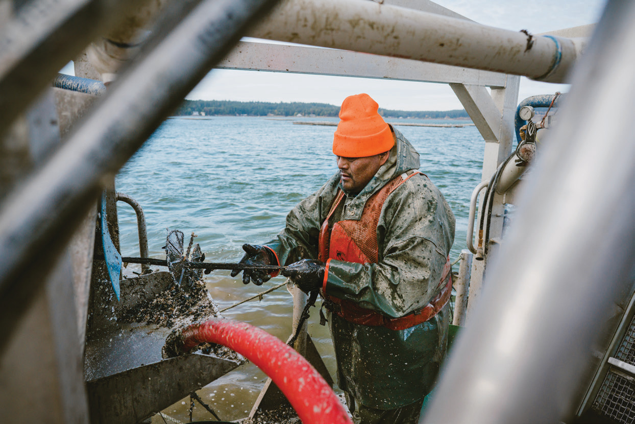 Penn Cove Shellfish produces about 2.5 million pounds of mussels per year.