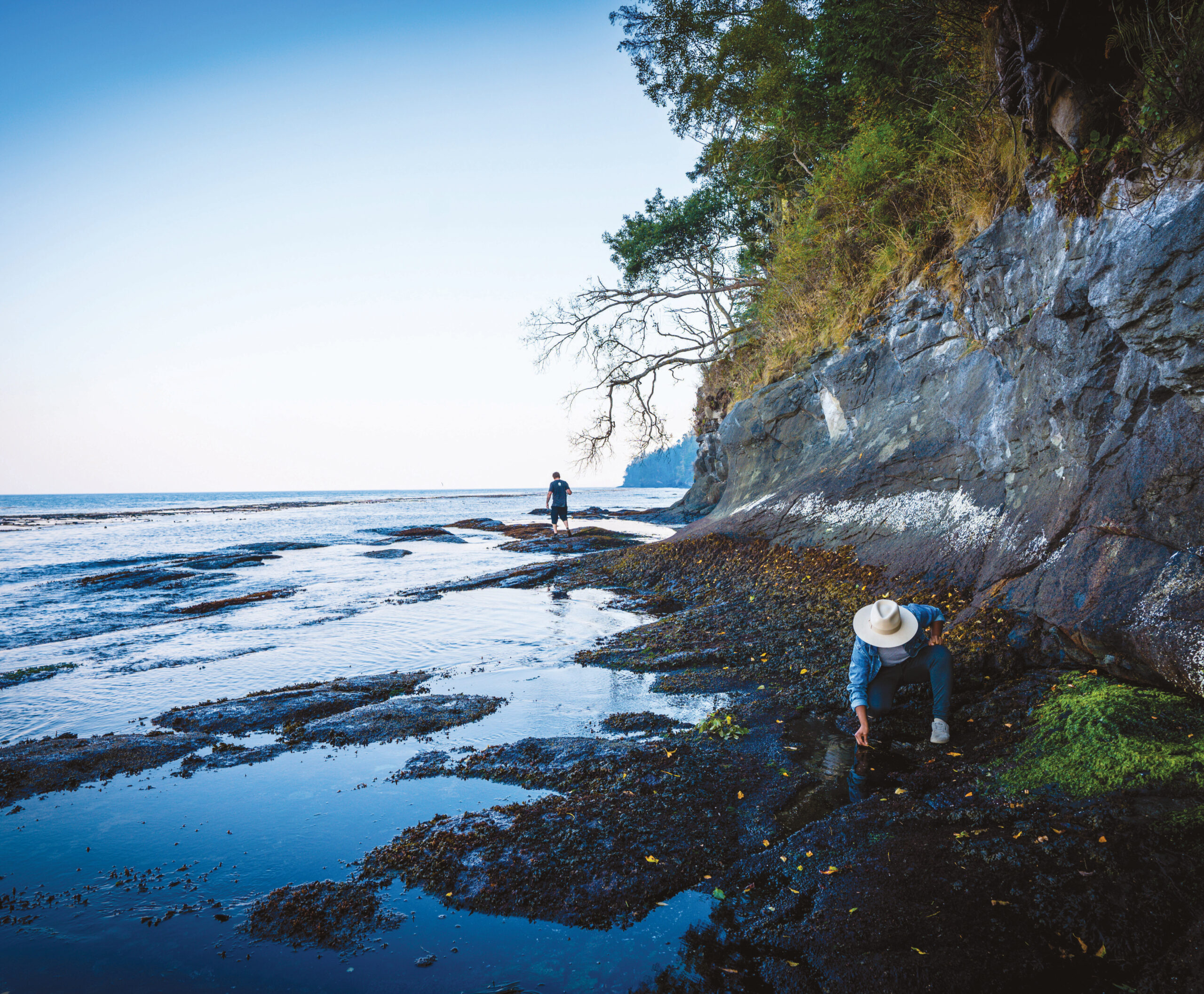 Explore Tongue Point’s tide pools during low tide.