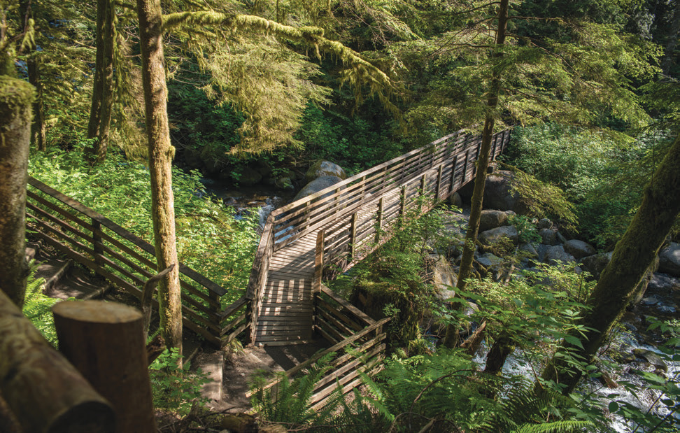 The Woody Trail is a moderate hike suitable for active families and beginner hikers.